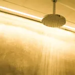 Boutique Patio Del Posadero 3*