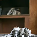 Ξενοδοχείο Boutique Patio Del Posadero 3*