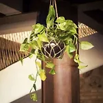 Ξενοδοχείο Boutique Patio Del Posadero Κόρδοβα