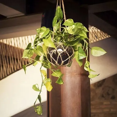 ホテル Boutique Patio Del Posadero コルドバ