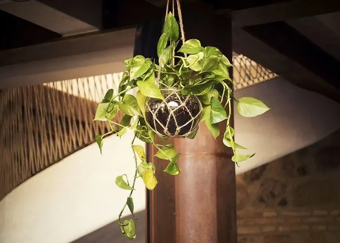 Отель Boutique Patio Del Posadero Кордова