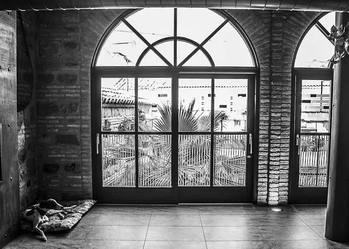 Отель Boutique Patio Del Posadero 3*