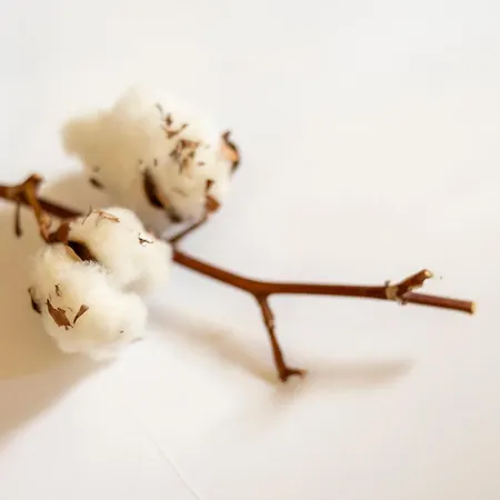 Boutique Patio Del Posadero Kordoba