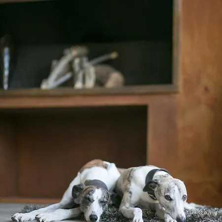 Hotel Boutique Patio Del Posadero 3*