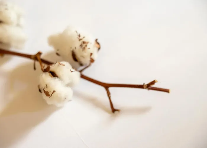 Boutique Patio Del Posadero Кордова