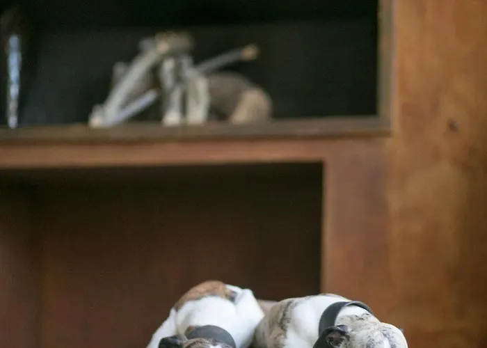 Готель Boutique Patio Del Posadero 3*